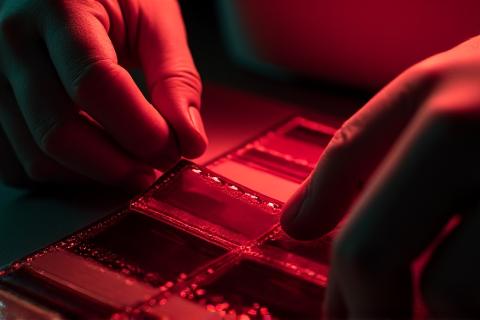 Mani che sviluppano una pellicola in camera oscura